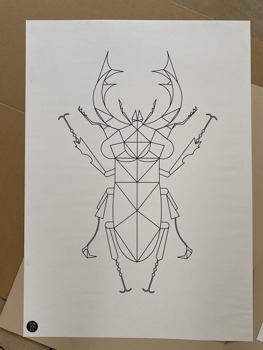 Plakat skarabeusz Kinkallo