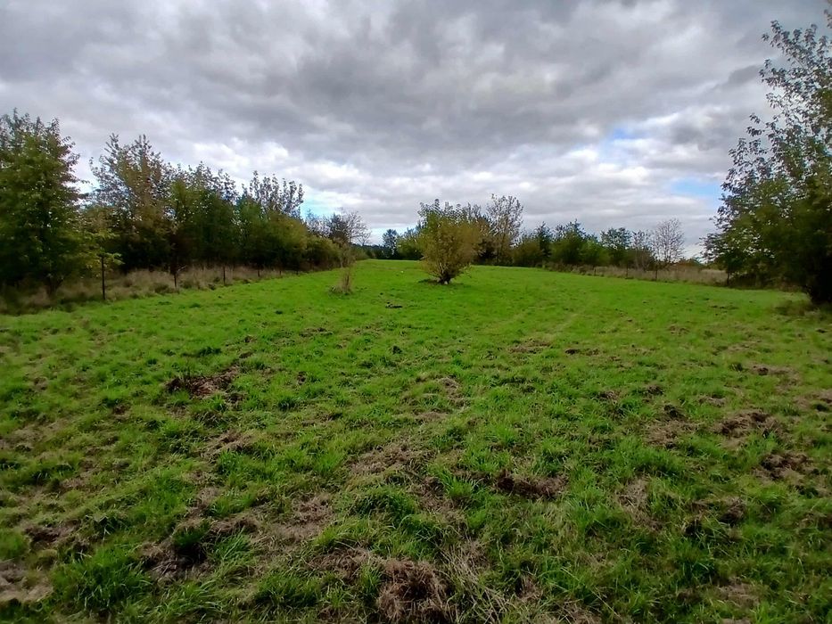 Działki Budowlane Stara Huta 35 arów z projektem