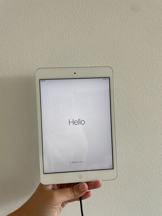 iPad mini (1.ª geração)