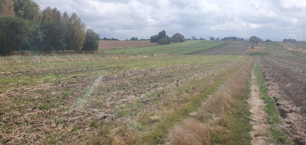 Działkę budowlaną sprzedam właściciel.