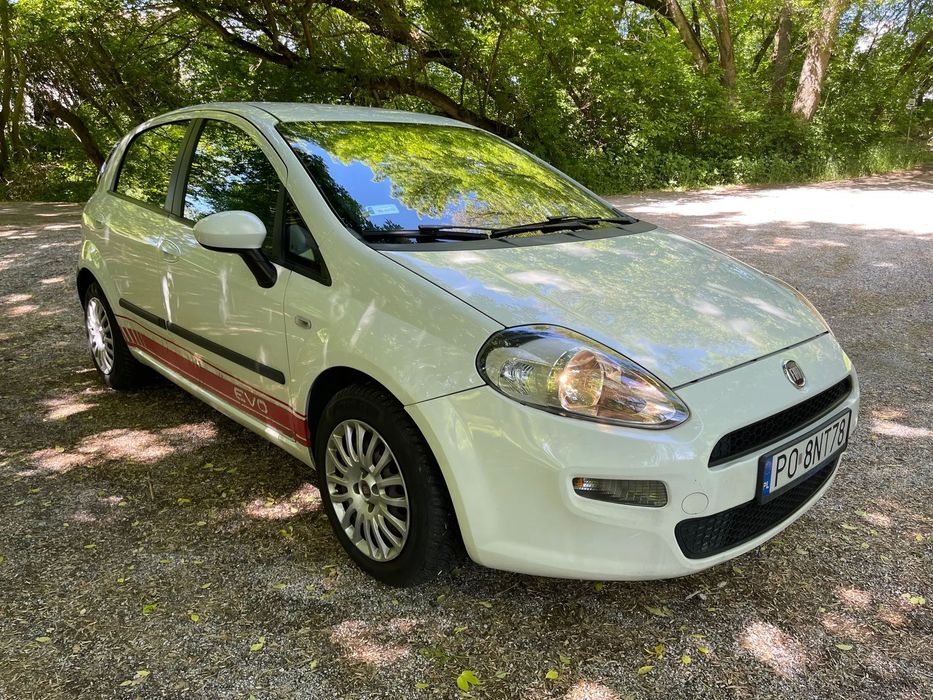 Fiat Punto Fiat Punto z 2014 roku, 5-drzwiowy hatchback z silnikiem 1.3 Multijet