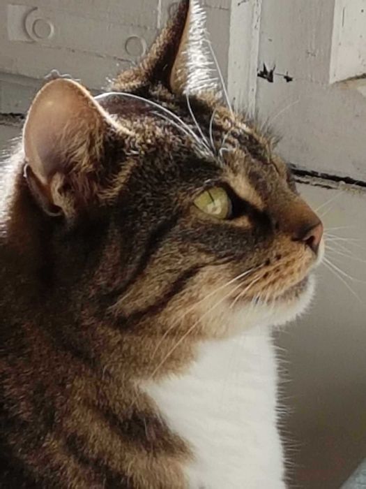 Dom pilnie poszukiwany