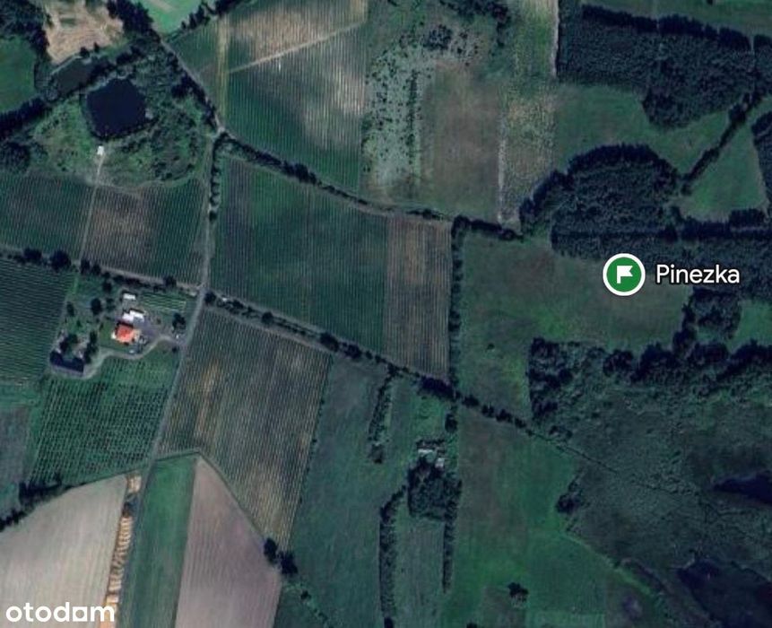 Zjawiskowa działka 1.34ha-możliwość zabudowy. - Widok 3