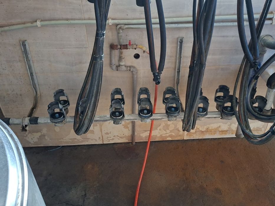 Dojarka Alfa laval 4 aparaty bezprzewodowa