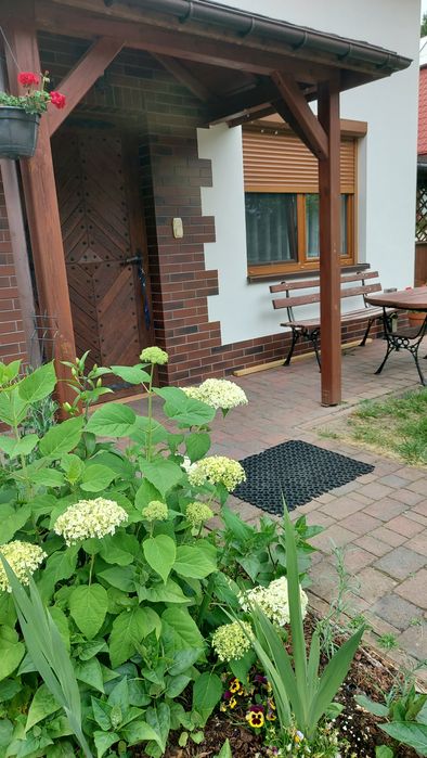 Domek na Święta lub Sylwestra