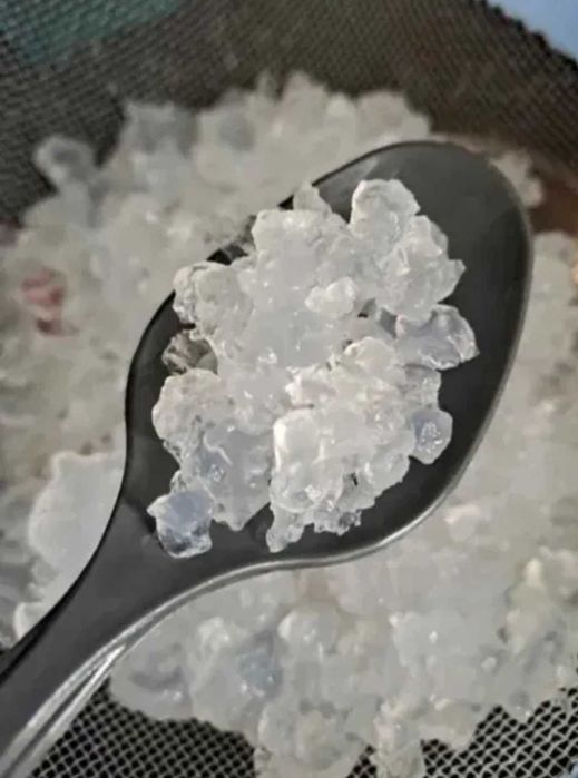 Kefir, algi japońskie