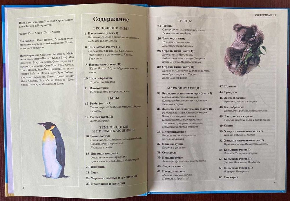 Книга "Животные" Клэр Астон 2008 год ККСД