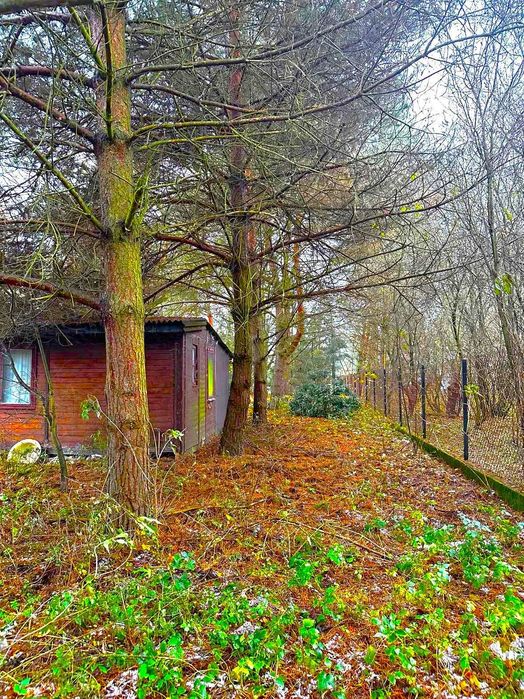 Łomianki Dolne | DZIAŁKA 3000 m² na dom z charakterem, ogrodem i śliwkowym sadem - Widok 4