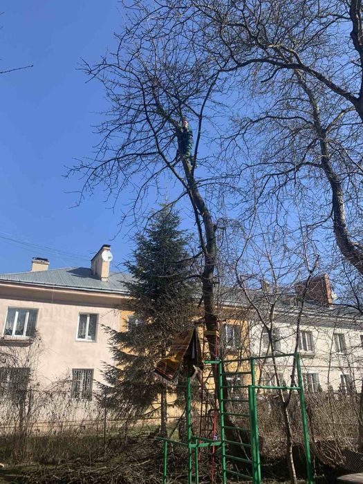 Зріз дерев прибирання территорій копання ям траншей демонтаж.