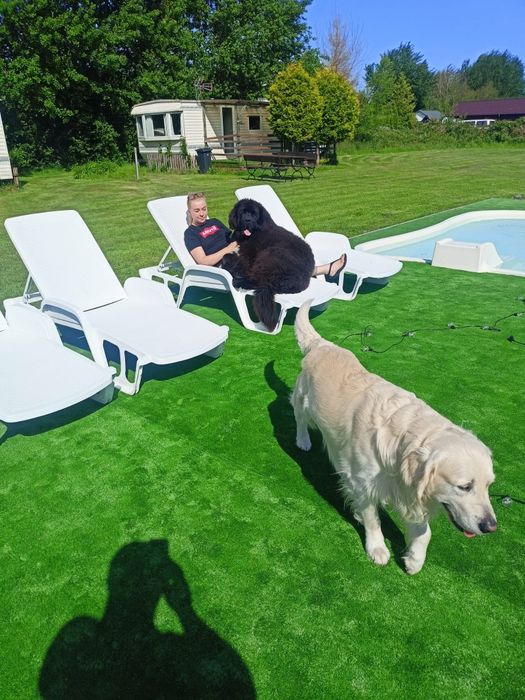 Pokoje z Łazienkami Dąbki nad Morzem