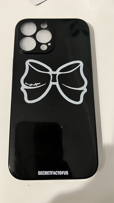 Etui iPhone 13 pro max