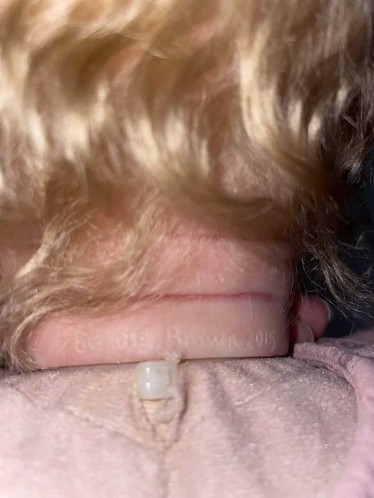 Reborn Saskia Original