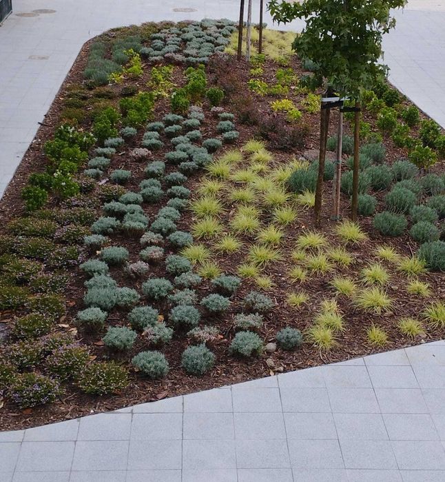 Manutenção de JARDIM