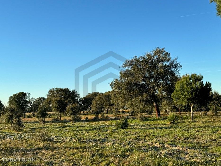 Terreno com 50.000m2 Rústico, possível construir moradia, em Pegões