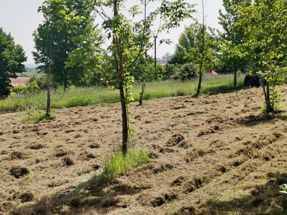 Limpeza de Terrenos e Jardins