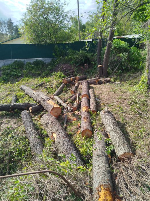 Спил і чистка дерев