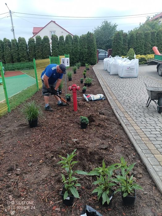zakładanie, pielęgnacja, cięcie, wertykulacja ogrodów