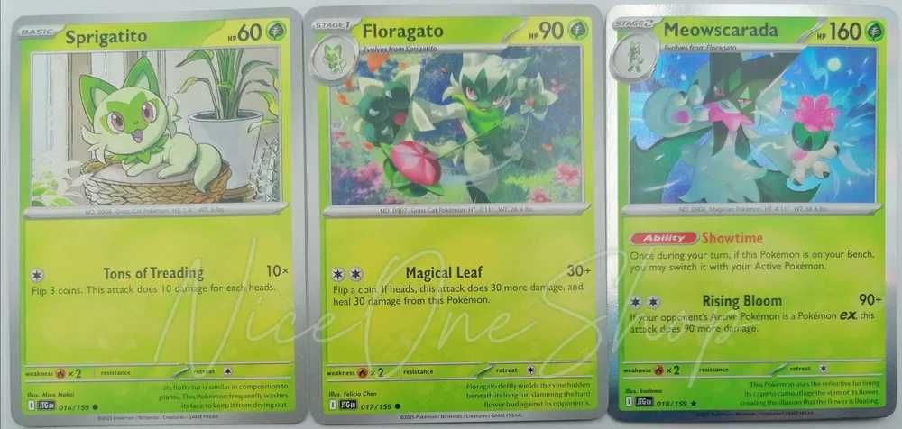 Zestaw oryginalnych kart Pokemon dla Pani P.