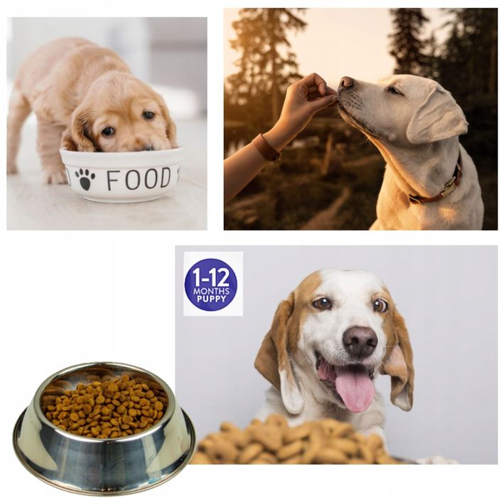 Sucha Karma Dla Szczeniąt Bezzbożowa Premium Kurczak 3kg