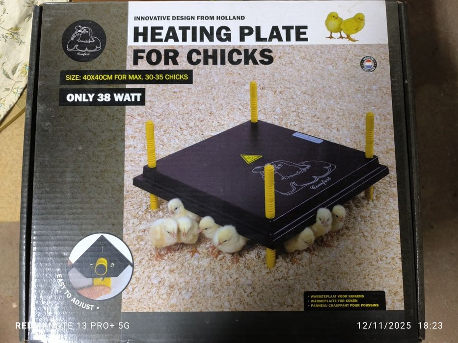 Placas aquecimento para pintos