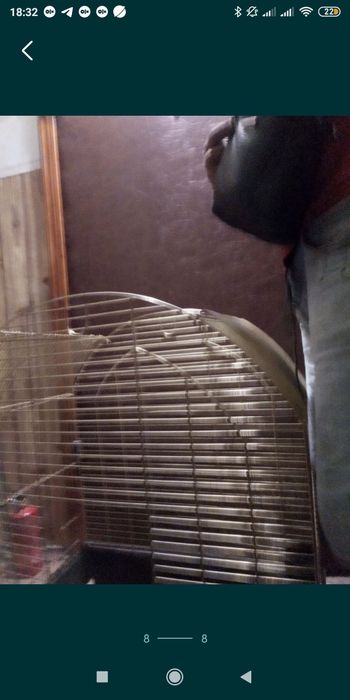 80 см большая клетка для домашнего живильного большая в идеале