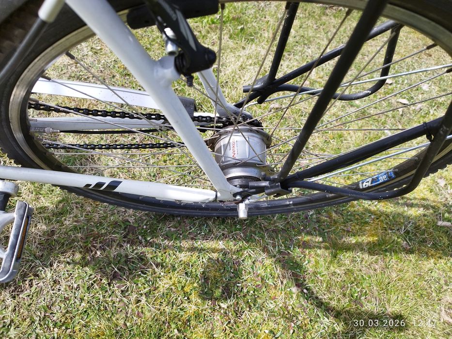 Rower miejski Pegasus