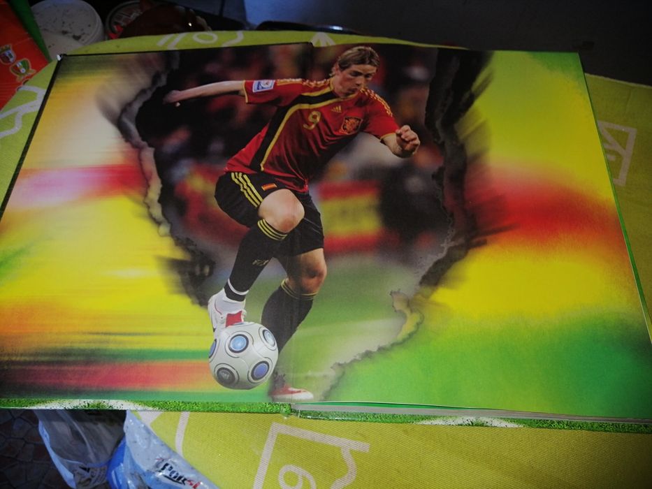 Livro de recordes do futebol mundial de 2010