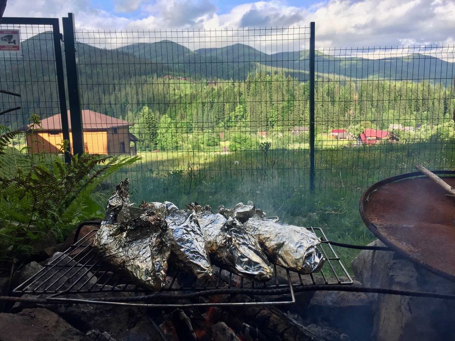 Здаю котедж, вул. Миру 42, на горі під лісом