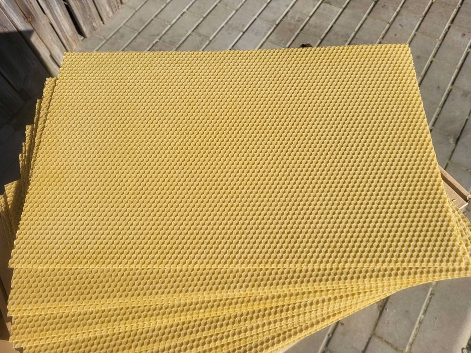 Węza Pszczela Wielkopolska,Dadant 55zl/ kg