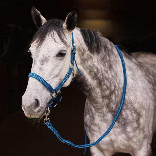 Kantar z uwiązem Chicago Horze Full