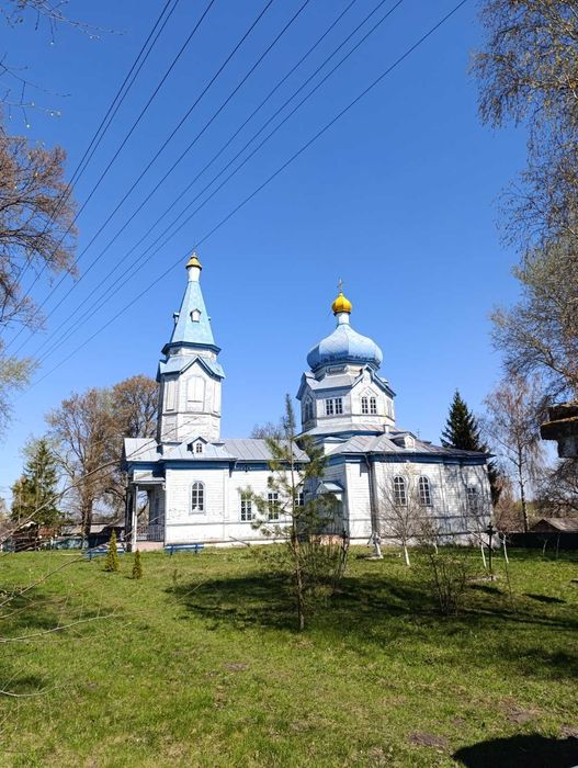 Будинок з комфортом неподалік  Чернігова !