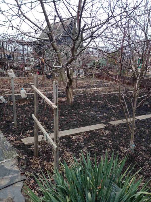 Продаю садовотческое общество Західне