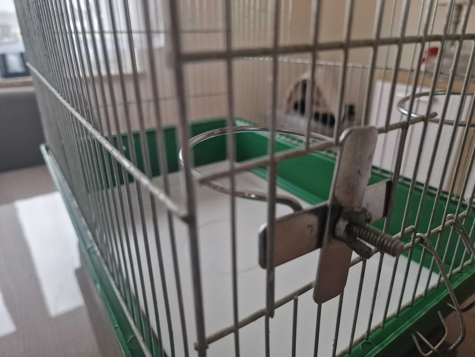 Używana klatka dla ptaka