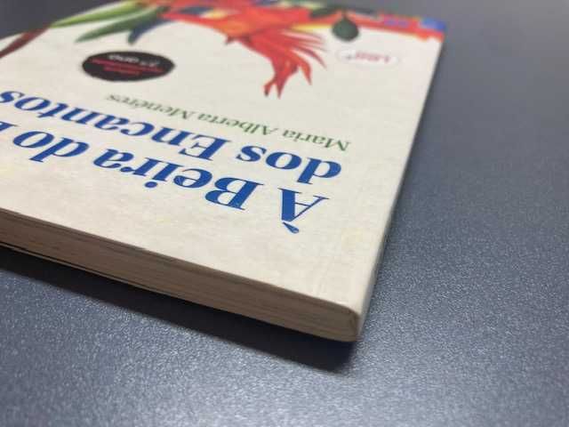 À Beira do Lago dos Encantos de Maria Alberta Menéres