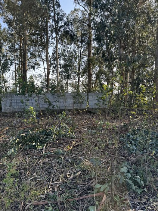 Terreno em  Lousada
