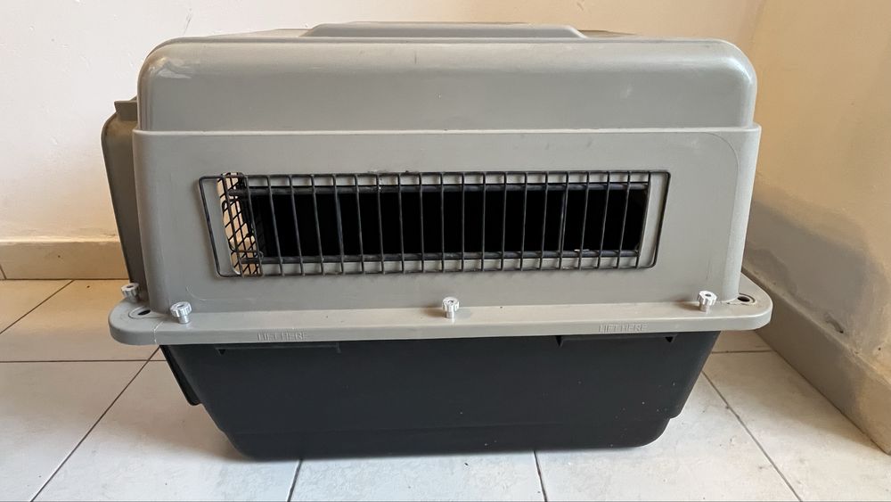 Caixa grande para transporte de animais Petmate, em bom estado