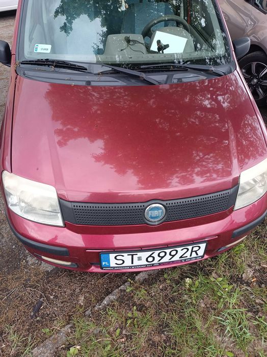 Fiat panda benzyna