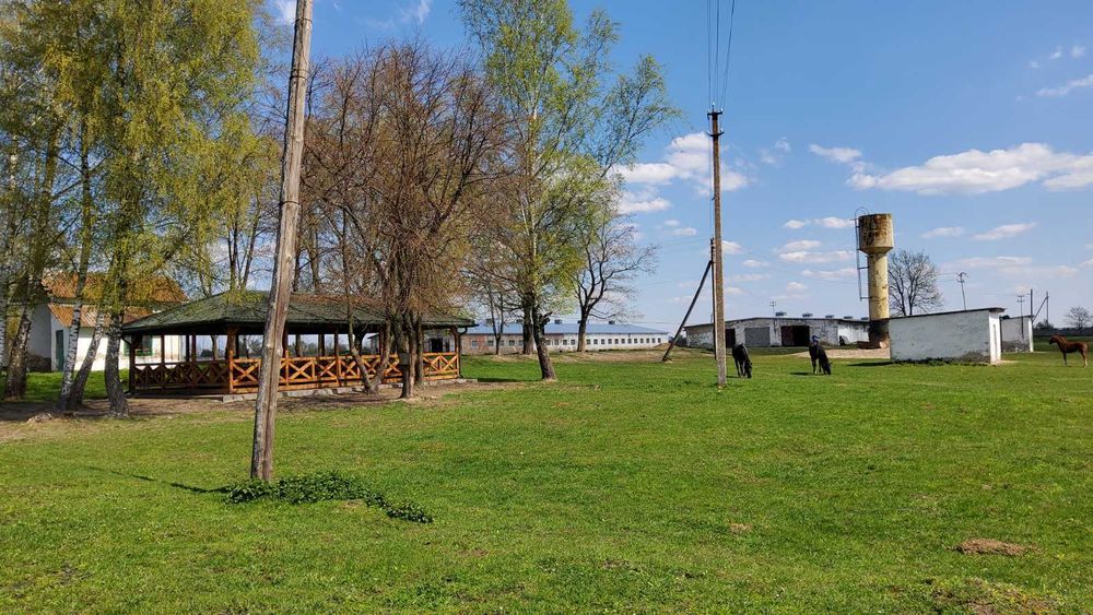 Продам кінну ферму