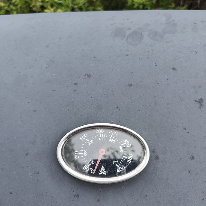 Grill wędzarnik gazowy węglowy