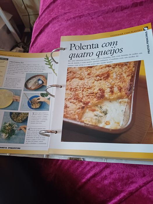 Enciclopédia Os Segredos  das Plantas