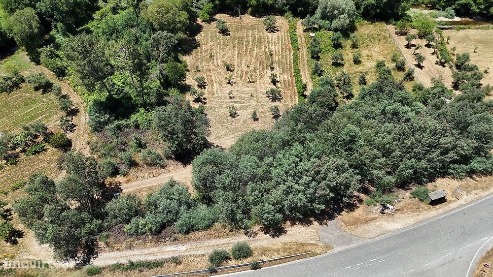 Terreno  para venda