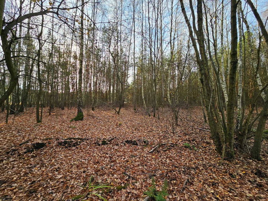 sprzedam działkę rolną