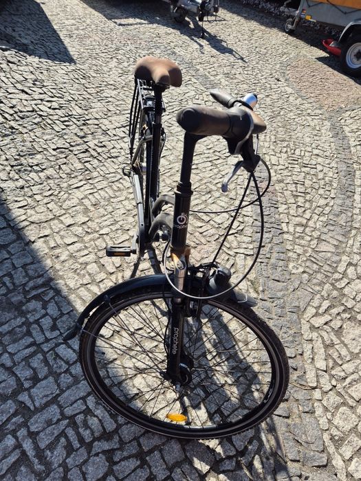 Rower Damka prophete 28