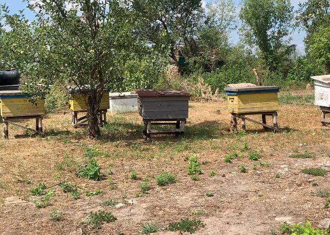 Улик для пчел (лежаки и корпусные)