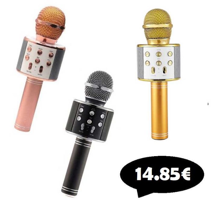 Wireless Microphone with Speaker – USB / SD / Bluetooth64332148934145121