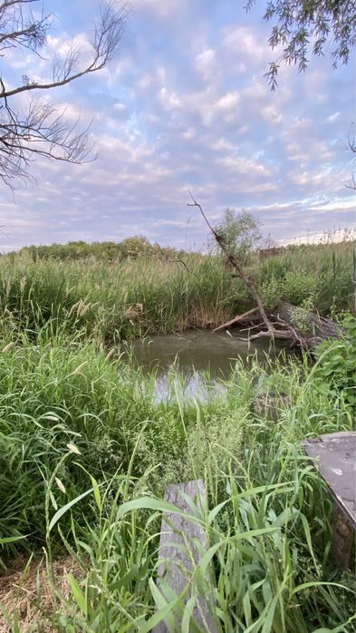 Хатинка + Струмок, с. Красне Перше, м. Обухів 3км, м. Київ 35км.