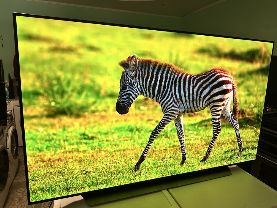 LG OLED65CX9LA – 65” OLED 4K Smart TV