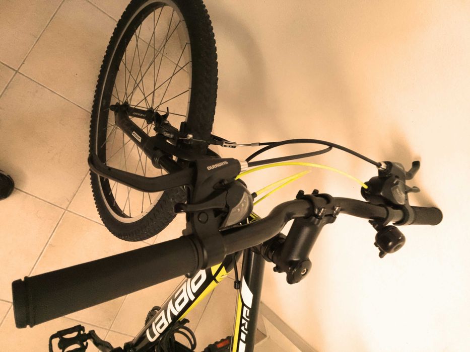 Bicicleta adulto Eleven