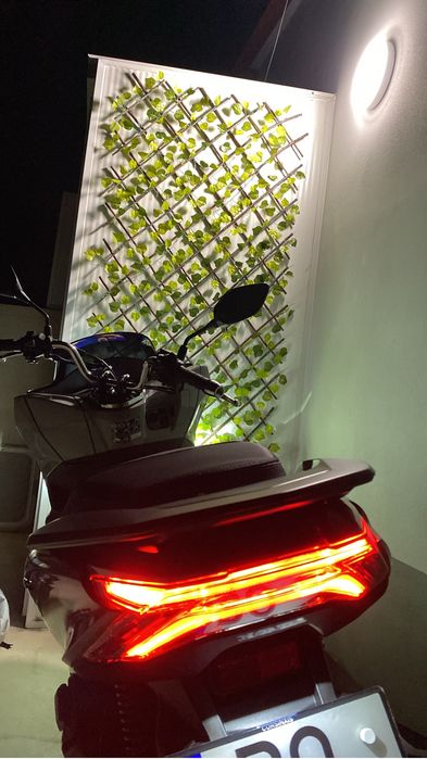 Honda PCX 125 — 2024 | Único Dono | Excelente Estado