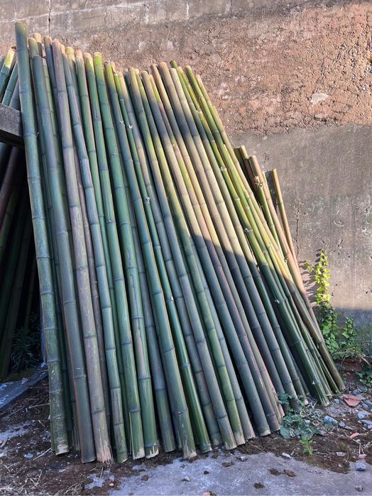 Canas de bambu varios tamanhos